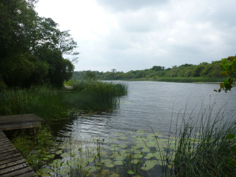 Netter See...