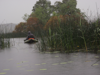 Coming home after a wet session on the lake...