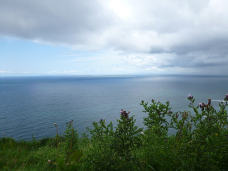 Beautiful landscape