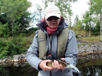 Baby pike.