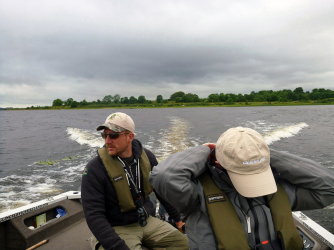 looking for pike...