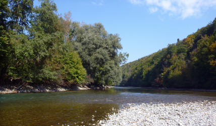 Oktober 2015 an der Berner Aare