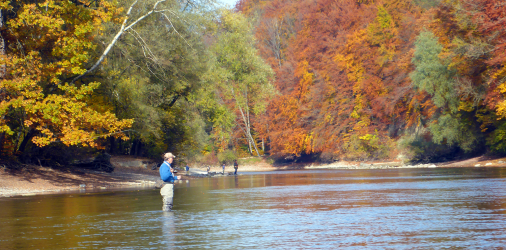 Ende Oktober 2015 an der Berner Aare...