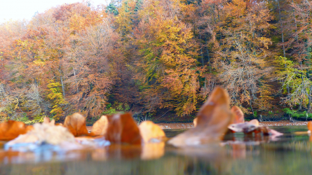 Herbst...