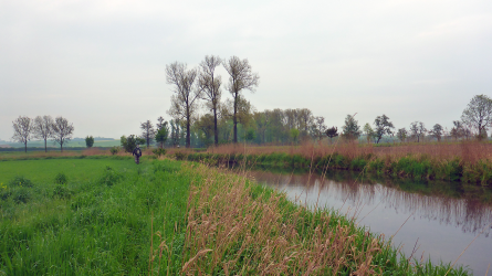 Offene Strecke an der oberen Nau