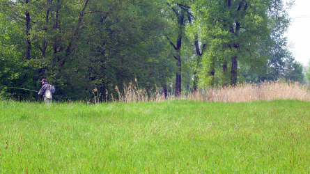 Markus und Natur pur... wo ist der Bach?