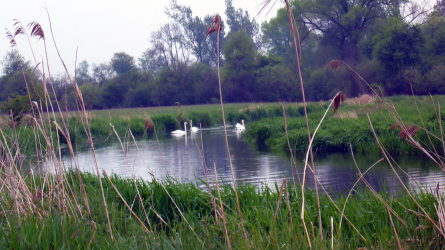 Intakte Natur