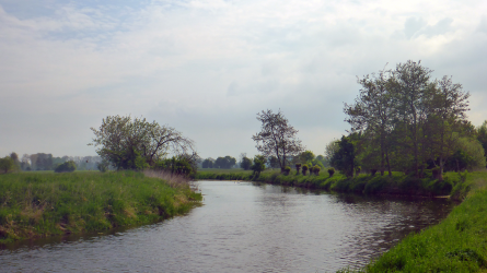 Blick flussaufwärts im mittleren Abschnitt