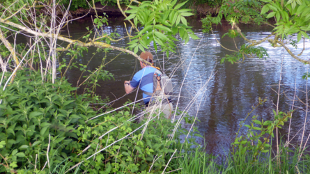 Nau 2017 - the best fish are always in the bushes...