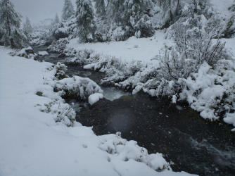 schwarzach_21