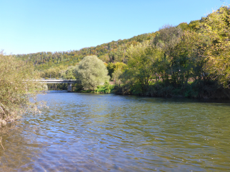 neckar_04