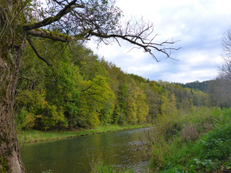 neckar_06