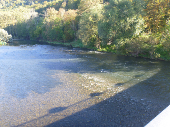 neckar_09