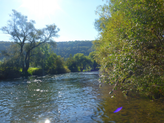 neckar_03