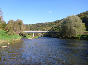 neckar_10