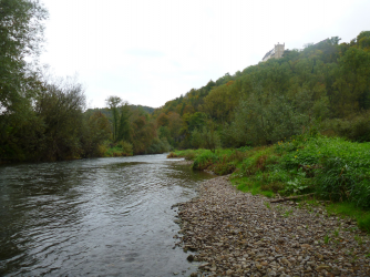 neckar_13