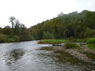 neckar_16