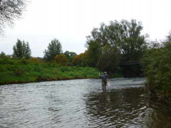 neckar_18