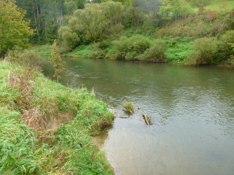 neckar_19