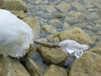 lac_de_joux_17