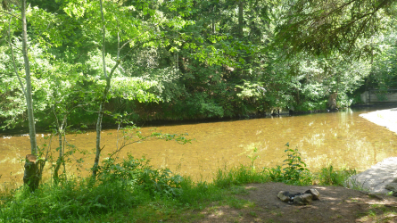 Wutach - Einstieg bei der Schattenmühle