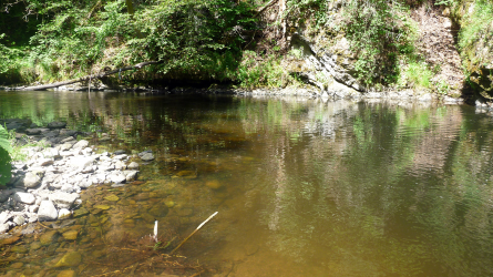 Slow Water Pool