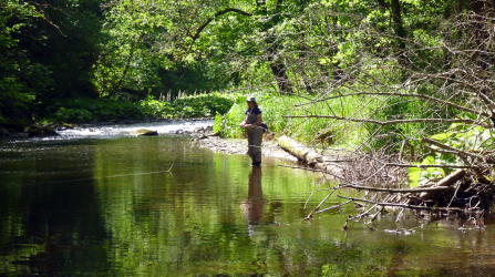 Nur ich und der Fluss...
