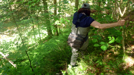 Climbing high above river - but no passing of the gorge...