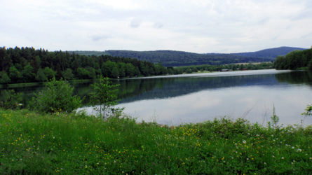 Plan d'eau de Courtavon