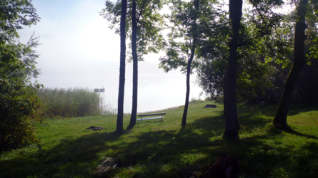 Nebel am Morgen