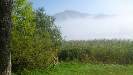 Nebel aber auch schon blauer Himmel und Sonne