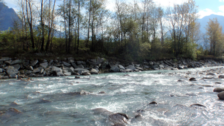 White water...