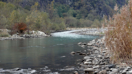 ruhiger Zug