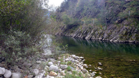 mera2011-5