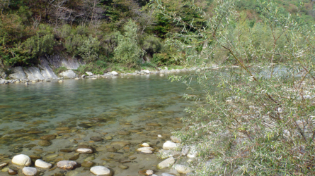 mera2011-18