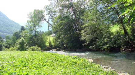 thur2009-13