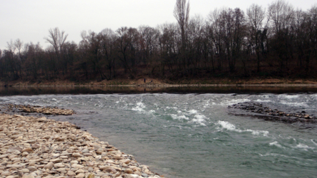 Altrhein 2010