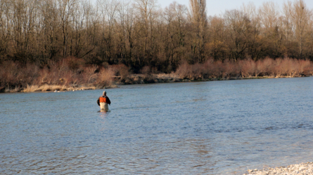 Altrhein 2010 - Felix sucht die Rheinforellen...