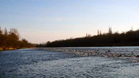 Altrhein März 2010