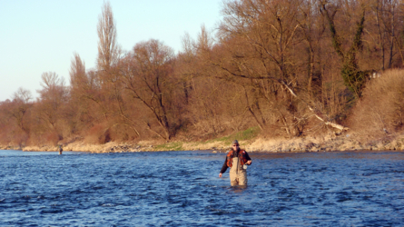 Altrhein 2010 - Sonniger Märztag ohne Forellen
