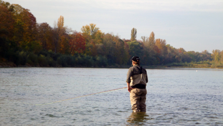 Herbstliches Hechtfischen - Altrhein 2011