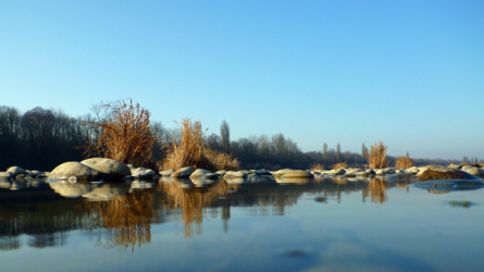 Flusslandschaft März 2012 - Altrhein
