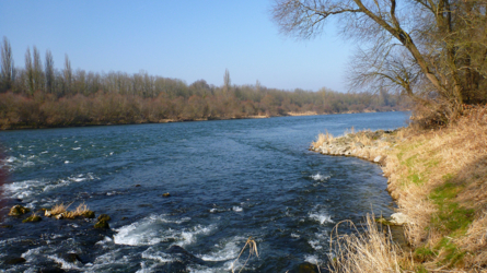 Altrhein 2012