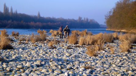 Lagebesprechung am Altrhein - März 2012