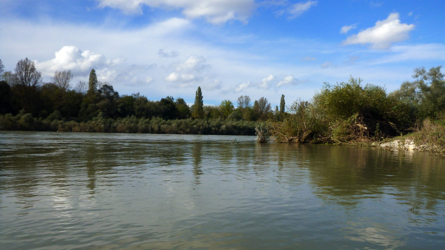 Oktober 2012 - Altrhein