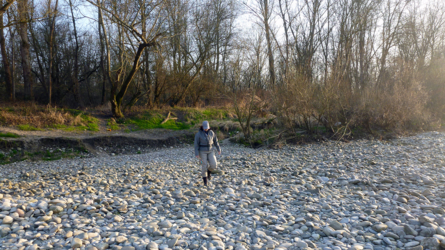 Altrhein 2014