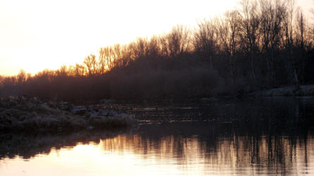 Wunderschöner Sonnenuntergang - Altrhein Februar 2011