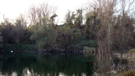 Baggersee Lindenstöckle - kleiner Hechtweiher