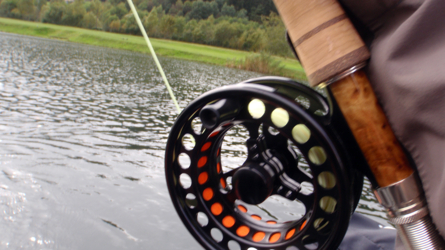 Fish on...