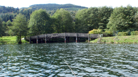 Am Seeende